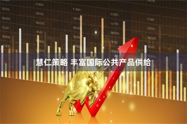 慧仁策略 丰富国际公共产品供给