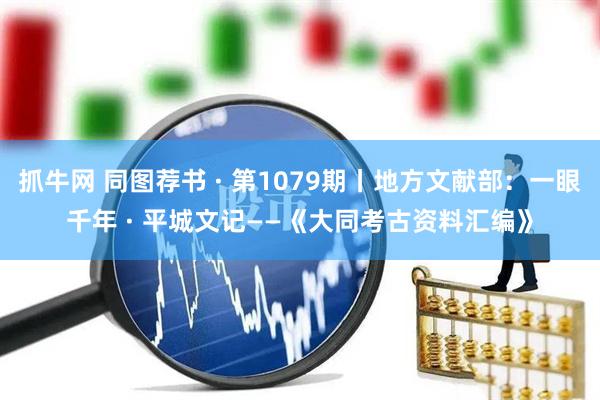 抓牛网 同图荐书 · 第1079期丨地方文献部：一眼千年 · 平城文记——《大同考古资料汇编》