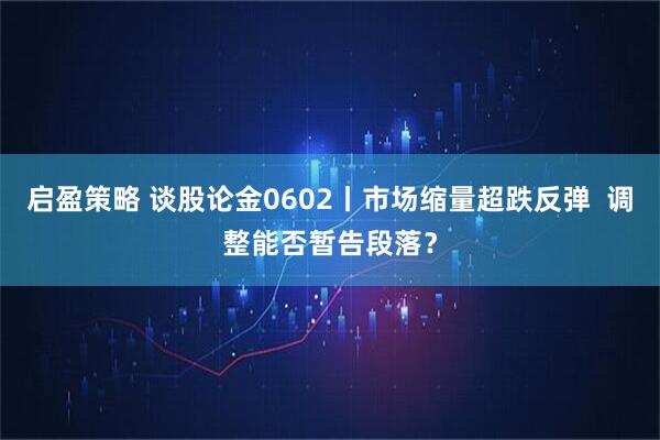 启盈策略 谈股论金0602丨市场缩量超跌反弹  调整能否暂告段落？