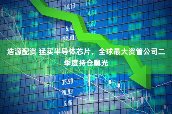 浩源配资 猛买半导体芯片，全球最大资管公司二季度持仓曝光